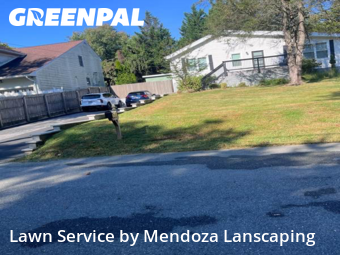 Grass Cut nearby Silver Spring, MD, 