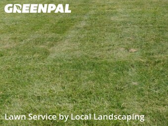 Grass Cutting nearby Lewis Center, OH, 