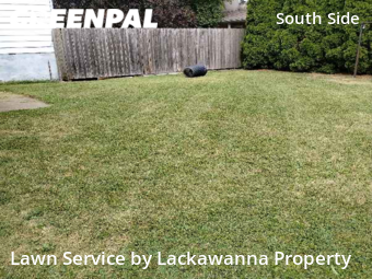 Lawn Care Service nearby Scranton, PA, 