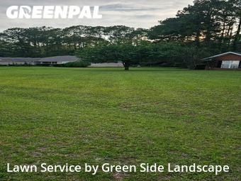 Lawn Mow nearby Albany, GA, 