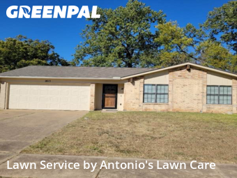 Modern Landscaping In Irving,75060,Landscaping by Antonio's Lawn Care, work completed in Nov , 2025