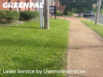 Yard Cutting nearby St. Louis, MO, 