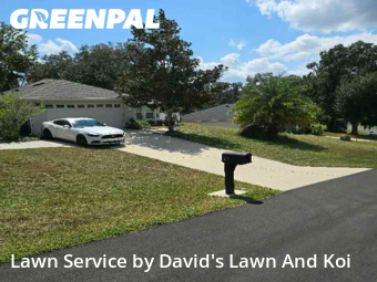 Weekly Mowing in Lady Lake, 32159, Backyard Mowing by David's Lawn And Koi, work completed in Dec , 2025
