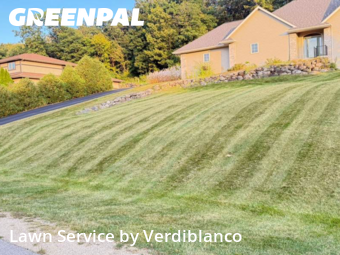 Grass Cut nearby Middleton, WI, 