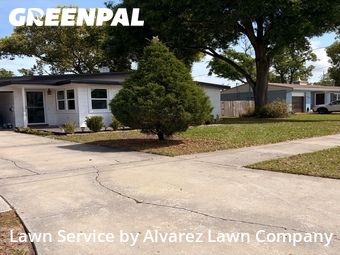 Grass Cut nearby Winter Park, FL, 