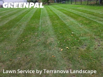 Turf Services in Downers Grove, 60516, Mowing Services by Terranova Landscape, work completed in Nov , 2025