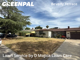 Lawn Service nearby Sacramento, CA, 