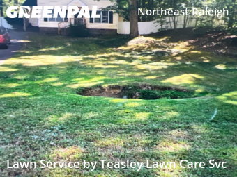 Lawn Cut nearby Raleigh, NC, 