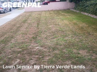 Lawn mowing work completed in Lynwood, CA