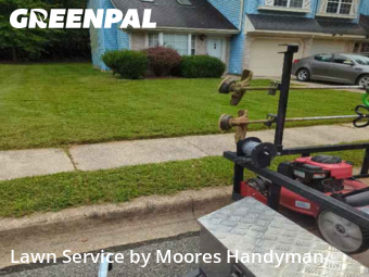 Lawn Care in Dover, 19904, Turf Services by Moores Handyman, work completed in Nov , 2025
