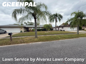 Grass Cuttingin Winter Park,32792,Lawn Mow by Alvarez Lawn Company, work completed in Dec , 2025