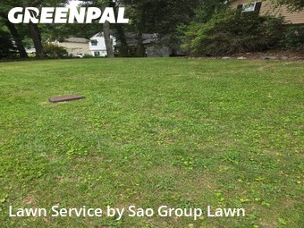Lawn Mow nearby Buford, GA, 