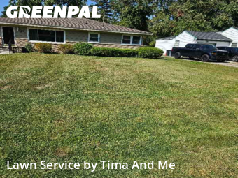 Lawn Work in Livonia, 48152, Weed Trimming by Tima And Me, work completed in Nov , 2025