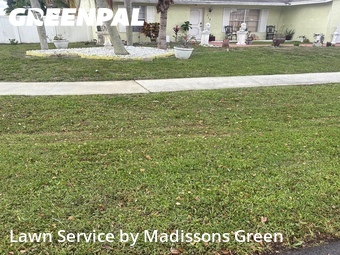 Lawn mowed in Royal Palm Beach, 33411
