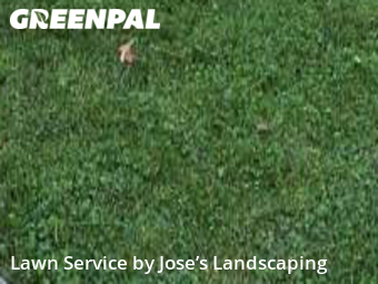Lawn Care Service nearby Fairfax, VA, 
