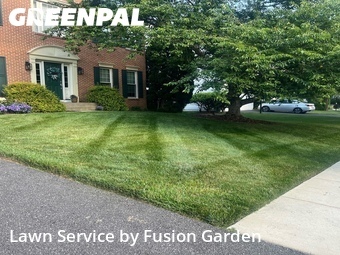 Grass Cut nearby Damascus, MD, 