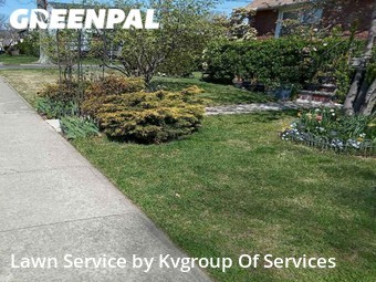 Yard Mowing nearby Wantagh, NY, 