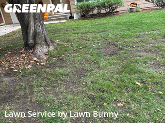 Lawn Cutting nearby Minnetonka, MN, 