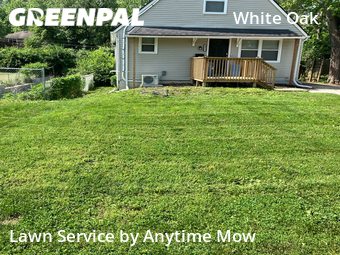 Grass Cutting nearby Kansas City, MO, 