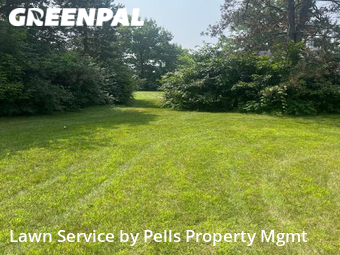 Lawn Mow nearby Ypsilanti, MI, 