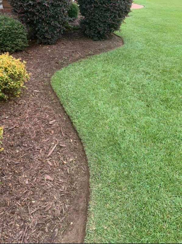 Order Lawn Care in Hamilton, OH, 45013