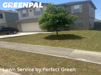 Lawn Mow nearby Cibolo, TX, 