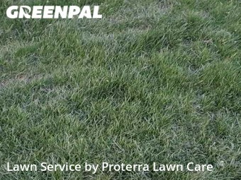Lawn Maintenance nearby Omaha, IA, 