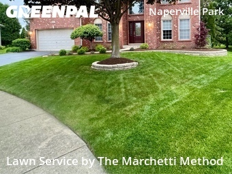 Grass Cut nearby Naperville, IL, 