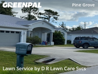 Yard Cutting nearby Palm Coast, FL, 