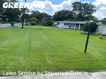 Lawn Cut nearby Lafayette, LA, 