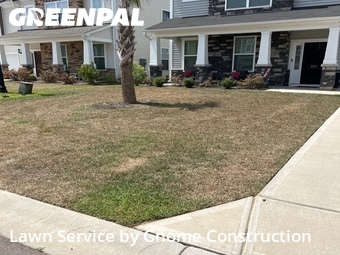 Lawn Care nearby Lexington, SC, 