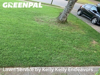Lawn Maintenance nearby Huntsville, AL, 