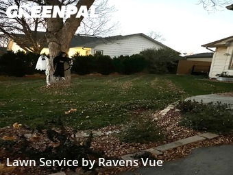 Grass Care in Loveland, 80537, Front Yard Mowing by Ravens Vue, work completed in Nov , 2025