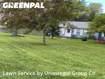 Lawn Mowing nearby Wadsworth, IL, 