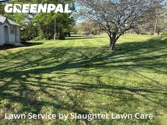 Grass Cutting nearby Powell, TN, 