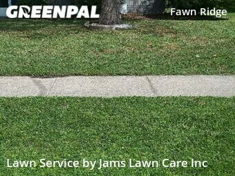 Yard Cutting nearby Tampa, FL, 