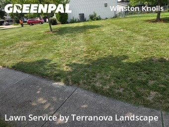 Property Maintenance in Hoffman Estates, 60192, Yard Upkeep by Terranova Landscape, work completed in Nov , 2025