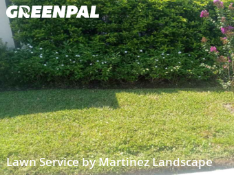 Grass Cutting in Horizon West, 34786, Garden Trimming by Martinez Landscape, work completed in Dec , 2025