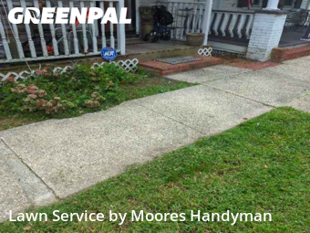 Lawn Maintenance in Camden, 19934, Lawn Mowing by Moores Handyman, work completed in Nov , 2025