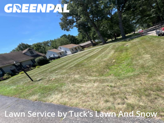 Yard Cutting nearby Romulus, MI, 