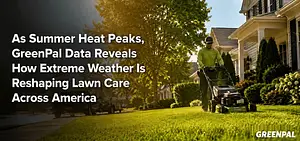 Man mowing lawn in front of suburban house on a sunny day.