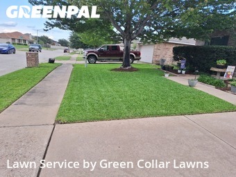 Lawn Cut nearby Grand Prairie, TX, 