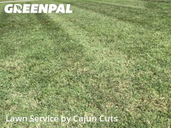 Grass Cutting nearby Murfreesboro, TN, 