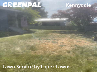 Lawn Mowing Service nearby Renton, WA, 