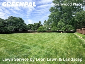 Lawn Mow nearby Olathe, KS, 