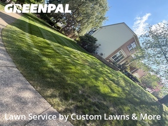 Yard Cutting nearby Novi, MI, 