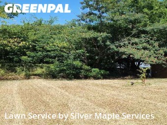 Yard Mowing nearby Longview, TX, 