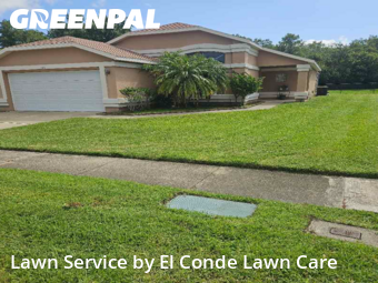 Lawn Cutting nearby Orlando, FL, 