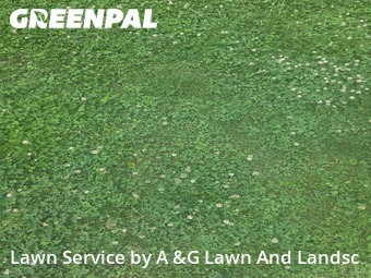 Lawn Mowing Service nearby West Chester Township, OH, 