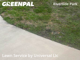 Lawn Service nearby Fort Lauderdale, FL, 